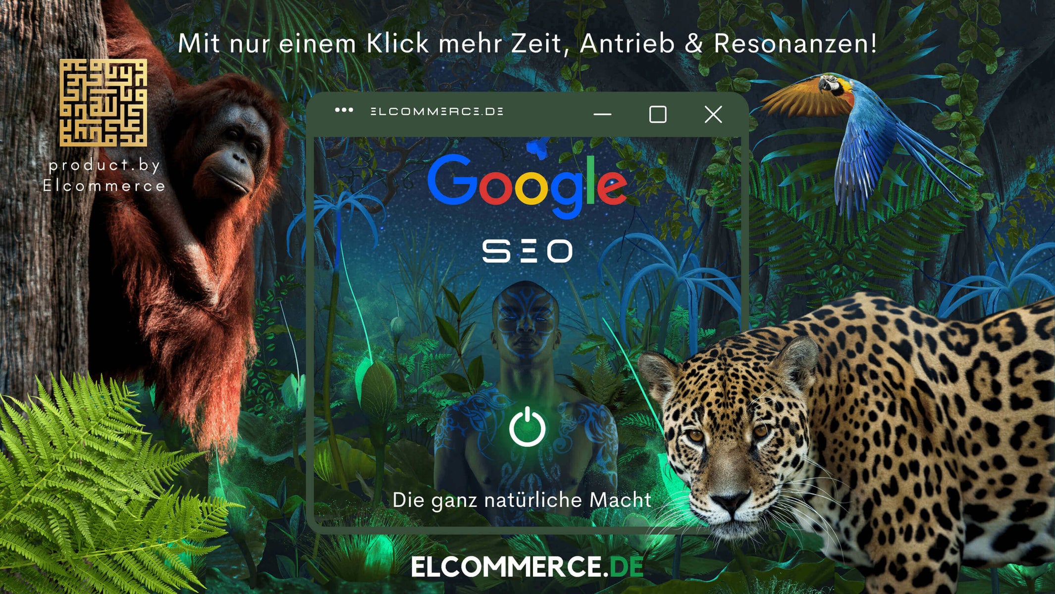 Google SEO Elcommerce Prestige Performance Google Suchmaschinenoptimierung, Elcommerce Google SEO Blog