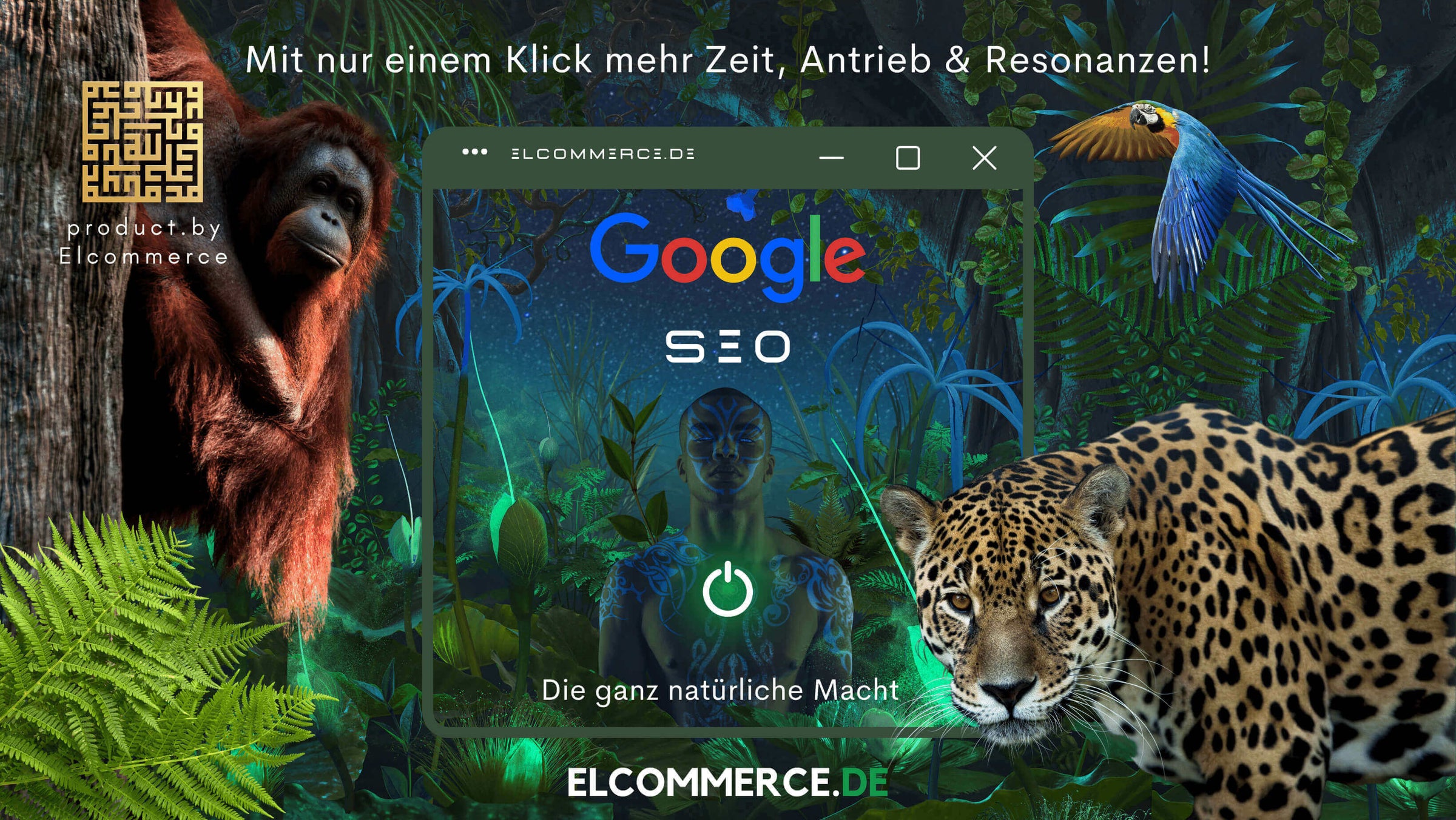 Google SEO Elcommerce Prestige Performance Google Suchmaschinenoptimierung, Elcommerce Google SEO Blog