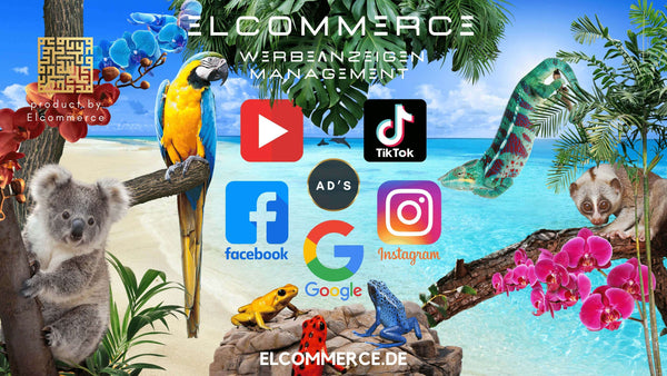 Elcommerce Werbeanzeigen Management, Google, YouTube, TikTok und Meta Ads / Werbeanzeigen